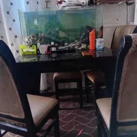 میز غذاخوری۴ حمیدیه|میز و صندلی غذاخوری|حمیدیه, |دیوار