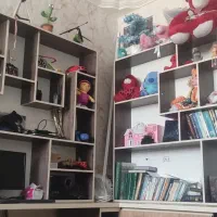 دو تا دکور و سه تا کمد|کتابخانه، شلف، قفسههای دیواری|بافق, |دیوار