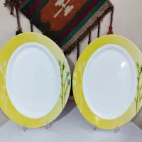 ارکوپال و ظروف ورکو فرانسه