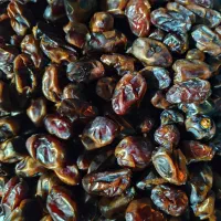 فروش خرما درجه یک|خوردنی و آشامیدنی|تهران, امام خمینی|دیوار
