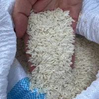 برنج هاشمی ممتاز آستانه|خوردنی و آشامیدنی|تهران, ترمینال غرب|دیوار