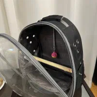 کیف حمل حیوانات