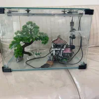 اکواریوم شیشه خم
