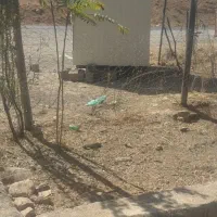 کانکس قهوه فروشی