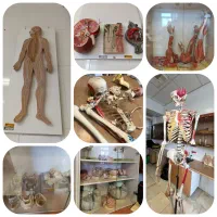 تدریس خصوصی و مشاوره تخصصی کنکور