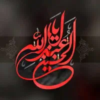 کربلا VIP