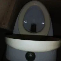 توالت فرنگی