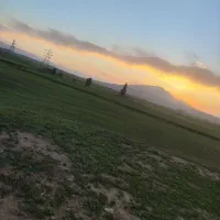 کشاورزی سپاشی محل پاشی هوای