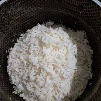 برنج و چای گیلان املش