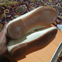 دار کیف کفش|فرش|کرمانشاه, |دیوار
