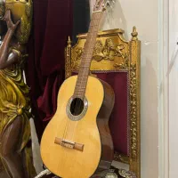 گیتار هندمید مدل F3