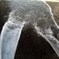 قالیشویی کلستان