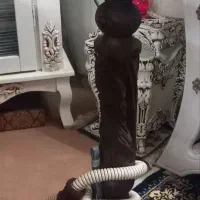 قلیون چوبی دوسیب آلبالو