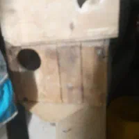 لونه|لوازم جانبی حیوانات|بندرعباس, |دیوار