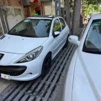 ۲۰۷ پانا مدل۱۴۰۲