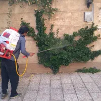 خدمات سمپاشی و باغبانی تمام نقاط تهران و حومه