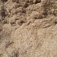 فروش کاه|حیوانات مزرعه|شیراز, لاله|دیوار