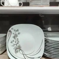 ظروف غذاخوری خوری ظروف چینی ظروف پذیرایی|ظروف سرو و پذیرایی|کبودرآهنگ, |دیوار