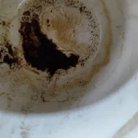 دوستان فال قهوه ابجدکبیر تاروت وفال چای|فعالیت داوطلبانه|شیراز, شاهچراغ|دیوار