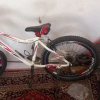 دوچرخه شکاری