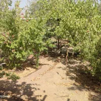 فروش عمارت در مهدی آباد نزدیک مشهد اردهال کاشان|فروش خانه و ویلا|دلیجان, |دیوار