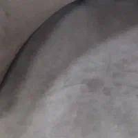 صندلی|صندلی و نیمکت|بندر ماهشهر, |دیوار