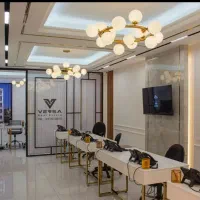 مشاور حرفه ای