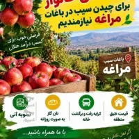نیرو برای سیب چیدن