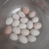 تخم‌ مرغ گلین لری