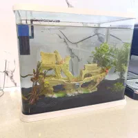 اکواریوم و وسایل