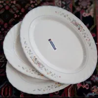 بشقاب گود خورشت ،غذا،آرکوپال ویکتوریا فرانسه|ظروف سرو و پذیرایی|تبریز, |دیوار