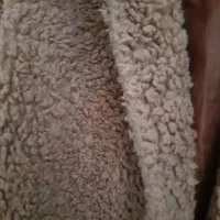 تدی|لباس|نوشهر, |دیوار