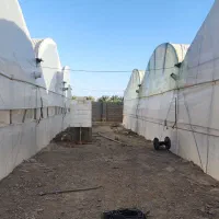 گلخانه|فروش دفتر صنعتی، کشاورزی، تجاری|سیب و سوران, |دیوار