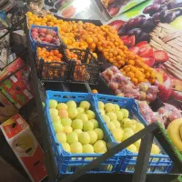 فروش پایه میوه فروشی محکم و جادار|فروشگاه و مغازه|مشهد, ابوذر|دیوار