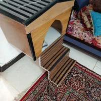 کلبه|لوازم جانبی حیوانات|کرمان, |دیوار