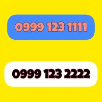 0999-123-2222
