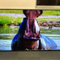 ال ای دی ۵۸ اینچ جی وی سی ژاپنی 4K اسمارت آندروید|تلویزیون و پروژکتور|اهواز, پردیس دو|دیوار