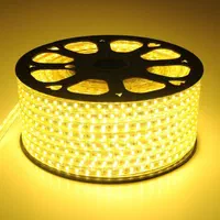 ریسه شلنگی وایرلس در تمامی رنگ ها|ریسه و چراغ تزئینی|تهران, بازار|دیوار