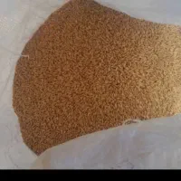 گندم دیم بوجاری شده