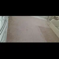 موکت پالاز
