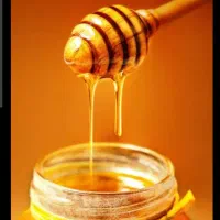 عسل بهاره  خالص هر یک کیلو یک کیلو رایگان