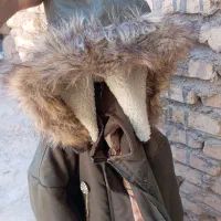 پالتورنگ لشمی