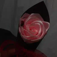 شاخه گل روبانی