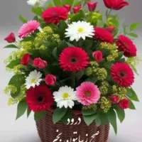 آپارتمان جهت نضافت