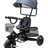 سه چرخه کارن دلیجان