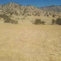 زمین کشاورزی|فروش زمین و ملک کلنگی|چوار, |دیوار