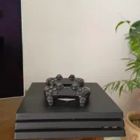 PS4 PORO