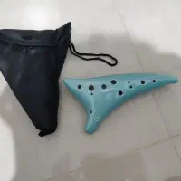 فروش دو ساز خاص و کلکسیونی باهم|سازهای سنتی|بندر انزلی, مسکن مهر|دیوار