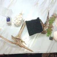 آکواریوم شیشه خم|ماهی|اسلام‌شهر, شهرک قائمیه|دیوار