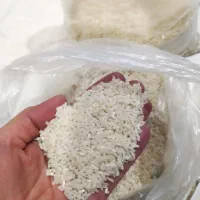 برنج سر لاشه طارم هاشمی شمال معطر خوش پخت|خوردنی و آشامیدنی|اصفهان, کوی امام|دیوار